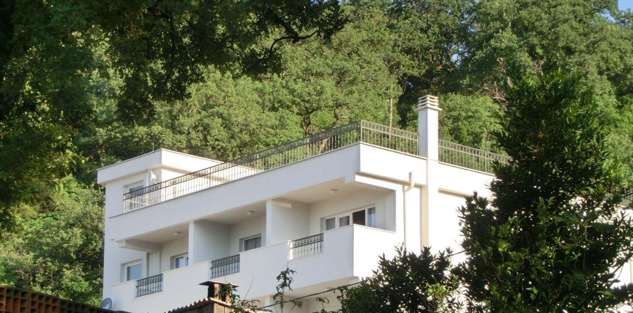 Villa Slovenika ブドヴァ エクステリア 写真